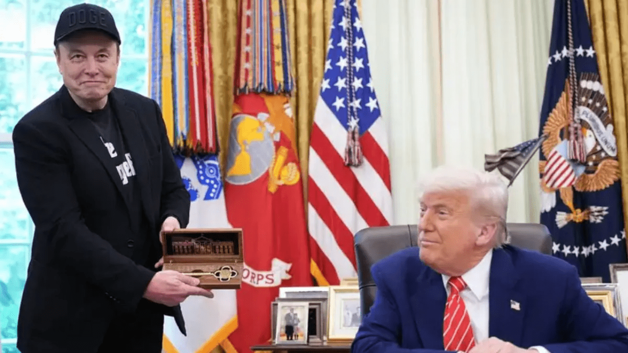'That's a left hook black eye': Elon Musk leaves White House with bruised face and $175 bn savings