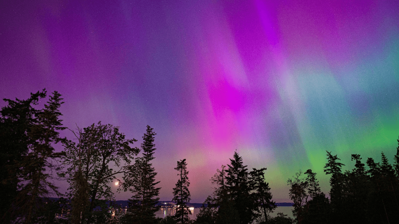 Severe geomagnetic storm could bring northern lights to Washington