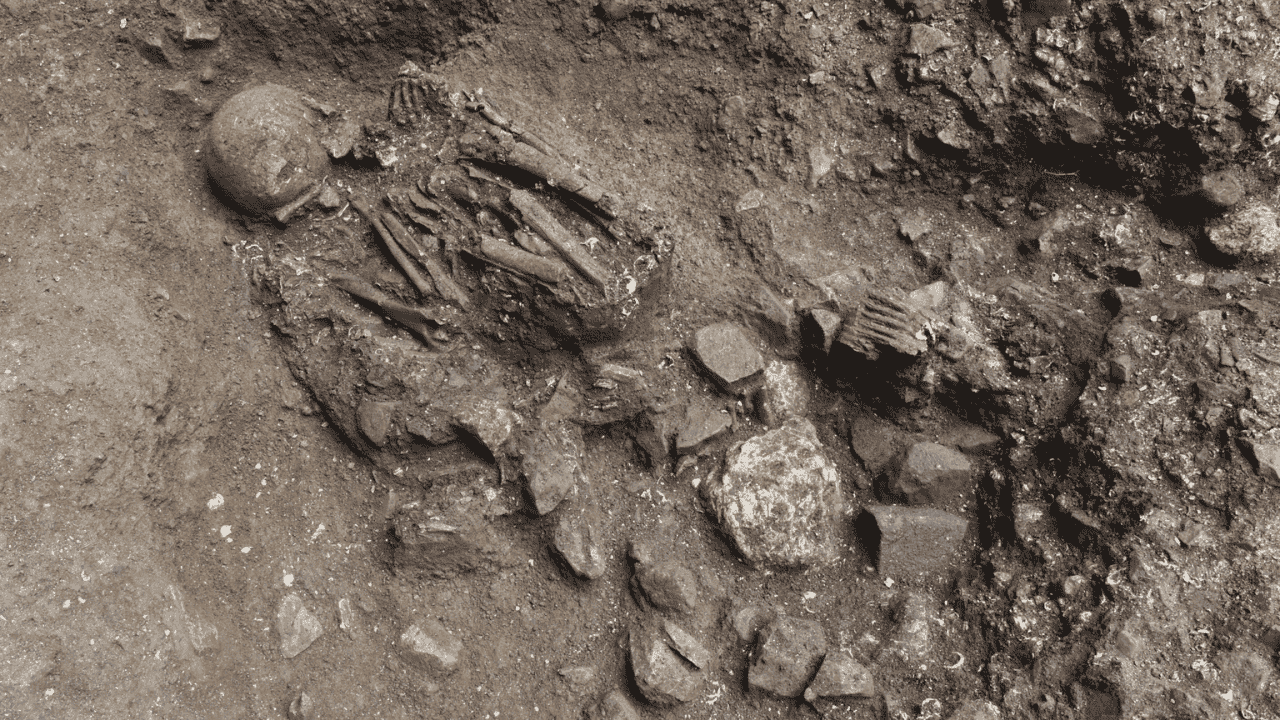 7,100-Year-Old Skeleton Reveals Unknown Human Lineage in China