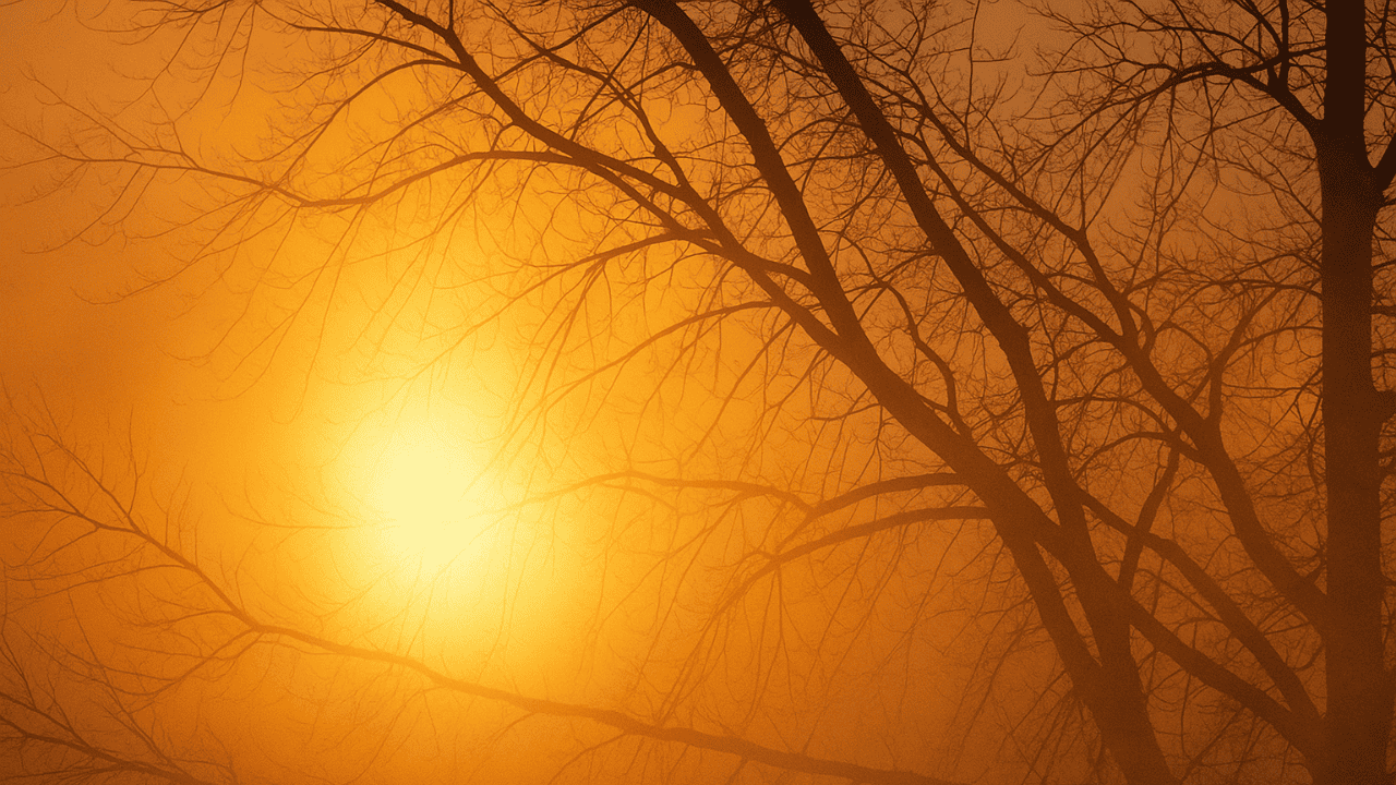 Delhi weather today: IMD alert for heatwave in national capital; temperature likely to soar 45 degrees